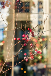 Similar image 21038170