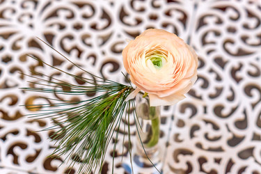 Similar image 21038209