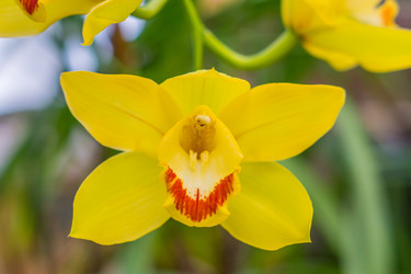 Similar image 21037663