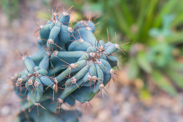 Similar image 21037665