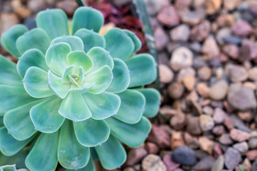 Similar image 21037667