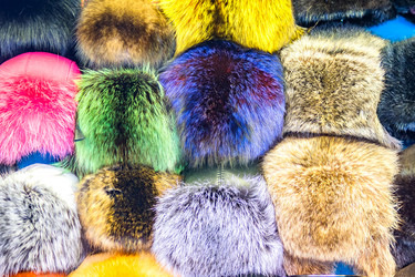 Similar image 21037669