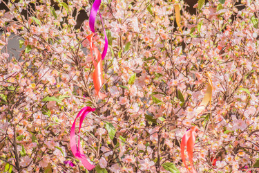 Similar image 21037677