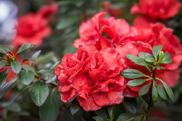 Similar image 21038090