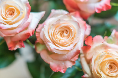 Similar image 21038092