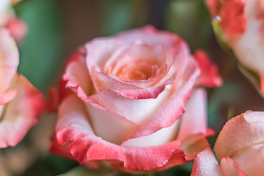 Similar image 21038129