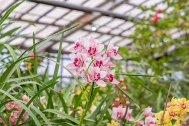 Similar image 21038131