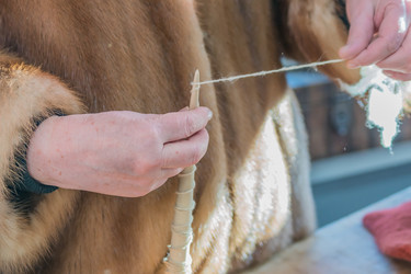 Similar image 21038149