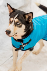 Similar image 21038296