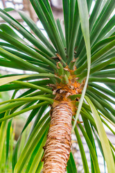 Similar image 21038299