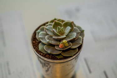 Similar image 21038300