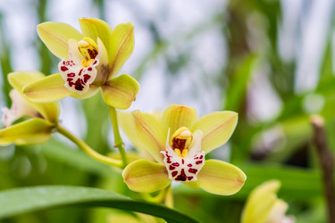 Similar image 21038303