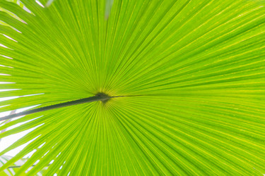 Similar image 21038311