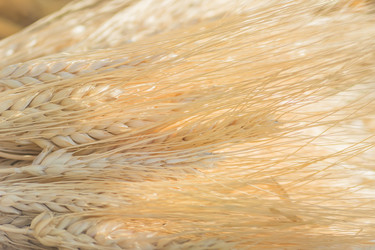 Similar image 21038426