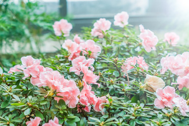 Similar image 21038432