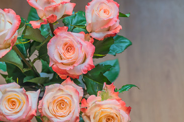 Similar image 21038650