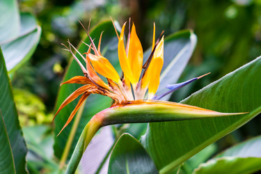 Similar image 21041066