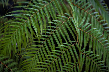 Similar image 21041068