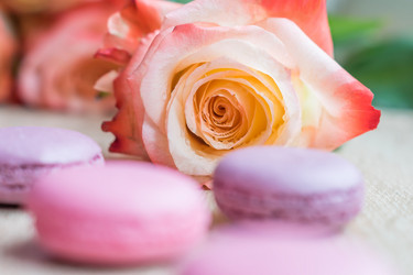 Similar image 21041149