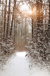 Similar image 21060079