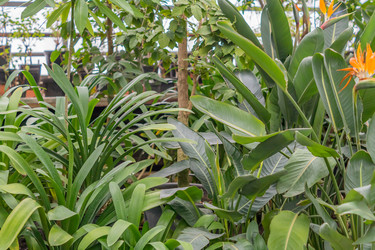 Similar image 21037712