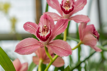 Similar image 21037713