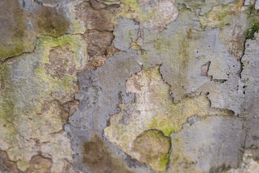 Similar image 21037900