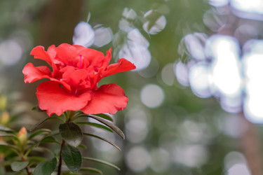 Similar image 21037901