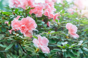 Similar image 21038078