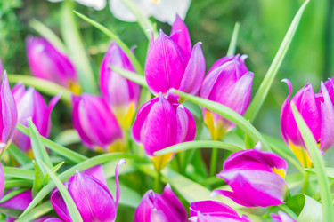 Similar image 21038117