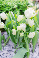 Similar image 21038119