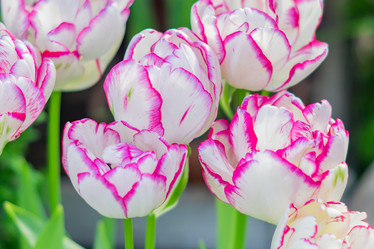 Similar image 21038120