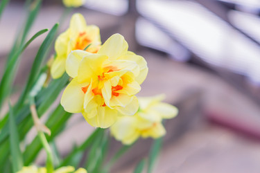 Similar image 21038135