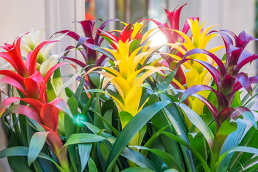 Similar image 21038140