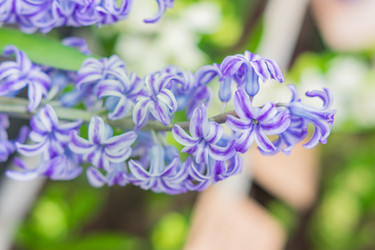 Similar image 21038192