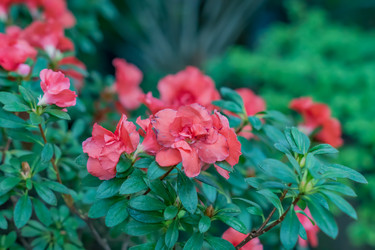 Similar image 21038195