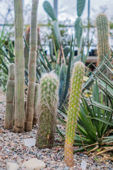 Similar image 21038196