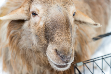 Similar image 21038199