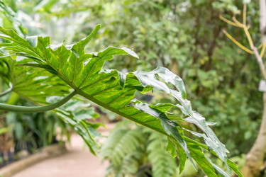 Similar image 21038220