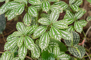 Similar image 21038221