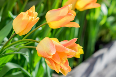 Similar image 21038444