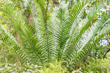 Similar image 21038446