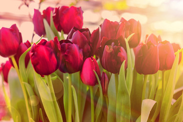 Similar image 21038448