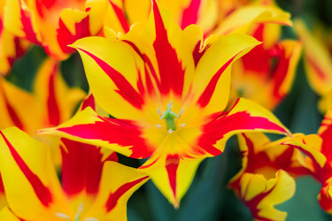 Similar image 21038665