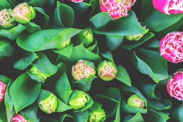 Similar image 21038666