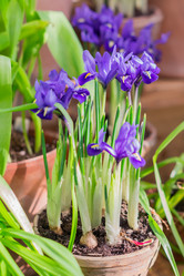 Similar image 21038667