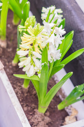 Similar image 21038669