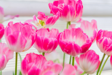 Similar image 21038671