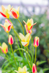 Similar image 21038672