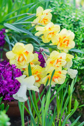 Similar image 21038674